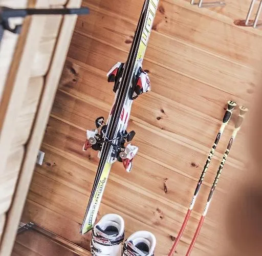 Dacha * צל-אם-זי